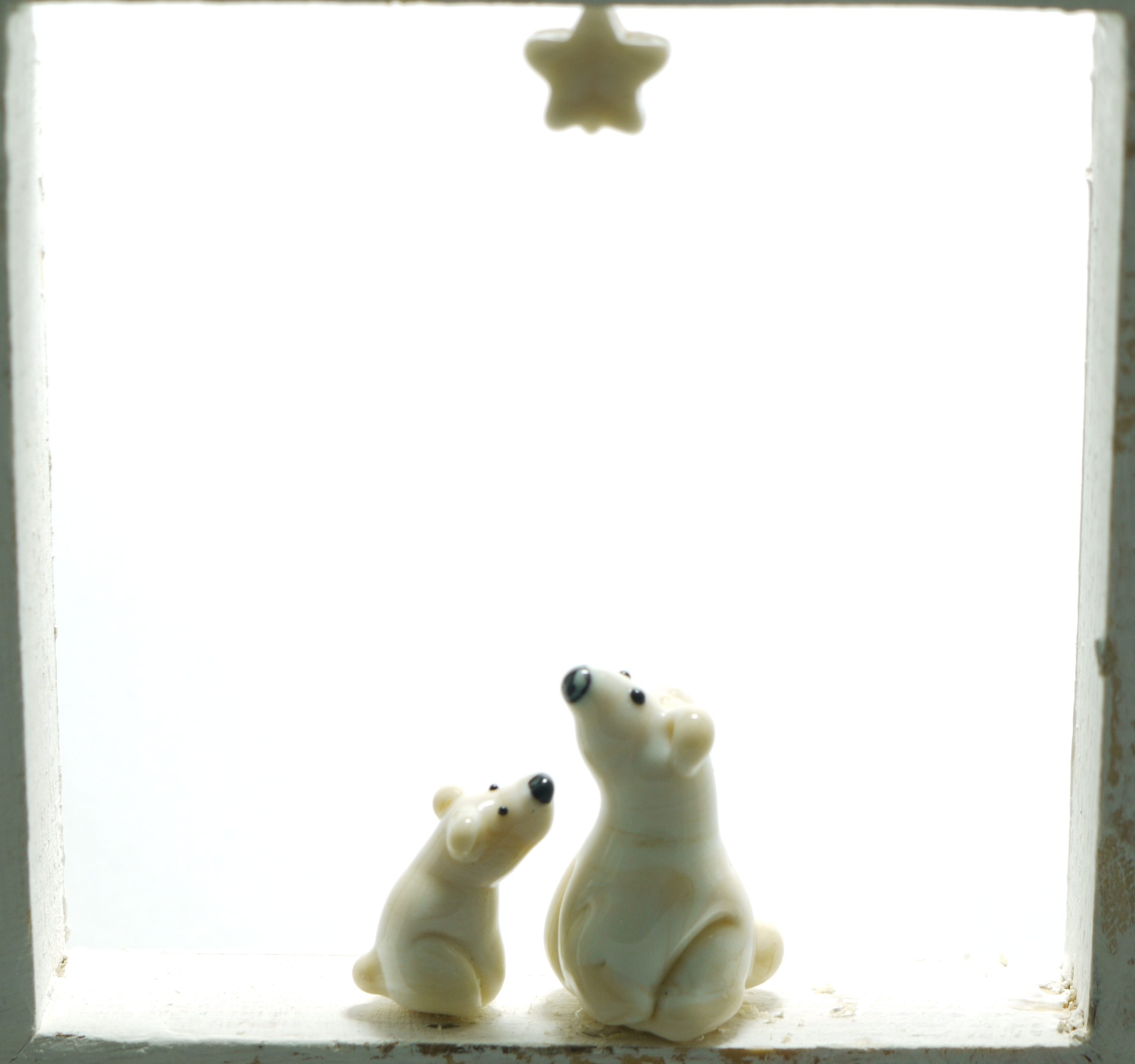 Photo8